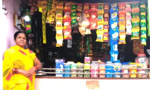 CM विष्णुदेव की आदिवासी महिला सशक्तिकरण योजना दे रही आर्थिक सशक्तिकरण एवं स्वावलंबन को बढ़ावा