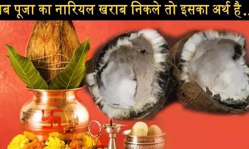 Bad Coconut in Pooja : जब पूजा में चढ़ा नारियल खराब या सूखा निकल जाता है...