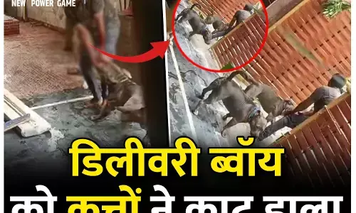 CG: कुत्तों के मालिक के खिलाफ FIR दर्ज, पीड़ित बोला-कार में नहीं चढ़ता तो आज जिंदा नहीं होता...