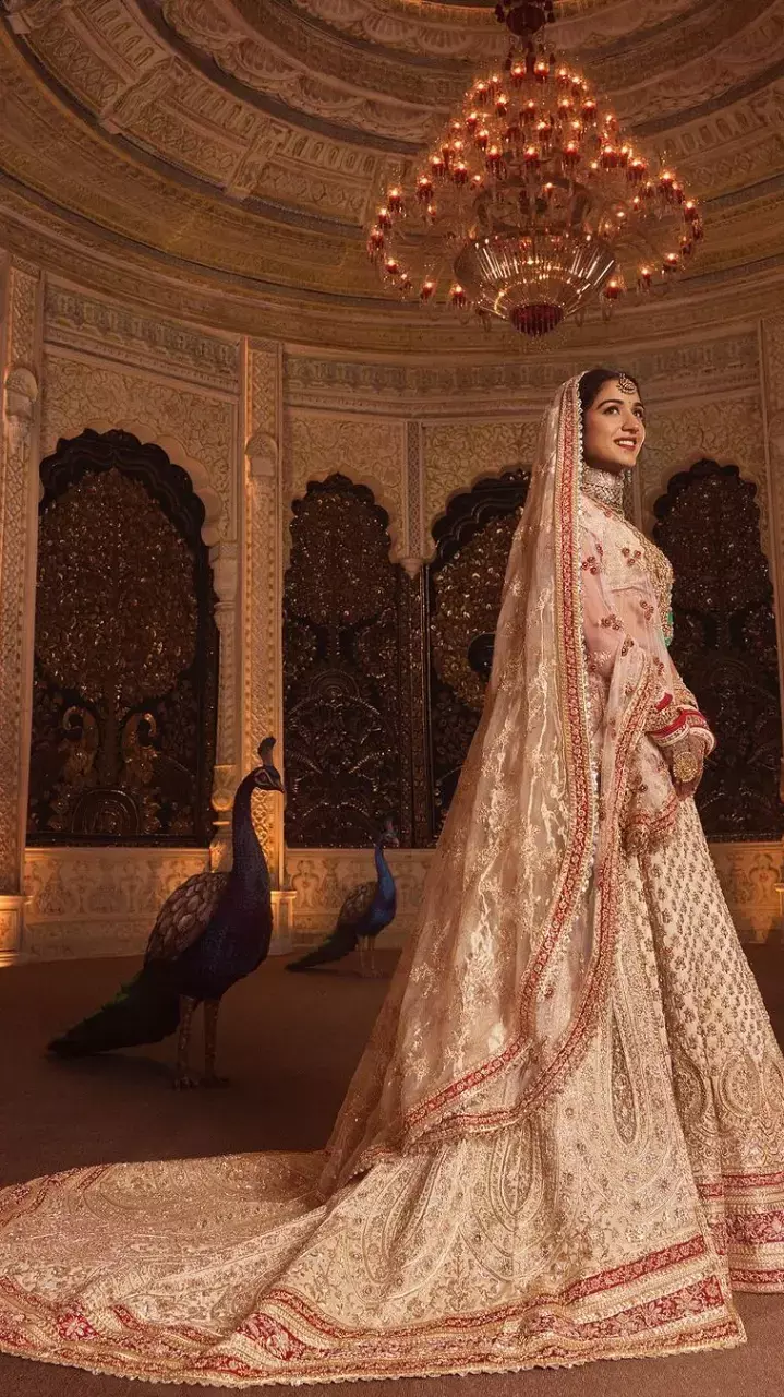 Radhika Merchant Dulhan Look: गुजराती दुल्हन बनीं राधिका मर्चेंट का खूबसूरत लुक आया सामने, पहना खास घाघरा...