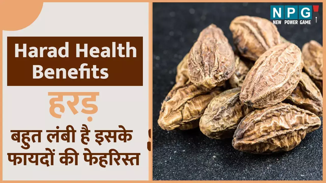 Harad Health Benefits: वायरल से  बचाएगी हरड़ और दिल की सेहत भी रखेगी दुरुस्त, बहुत लंबी है इसके फायदों की फेहरिस्त...