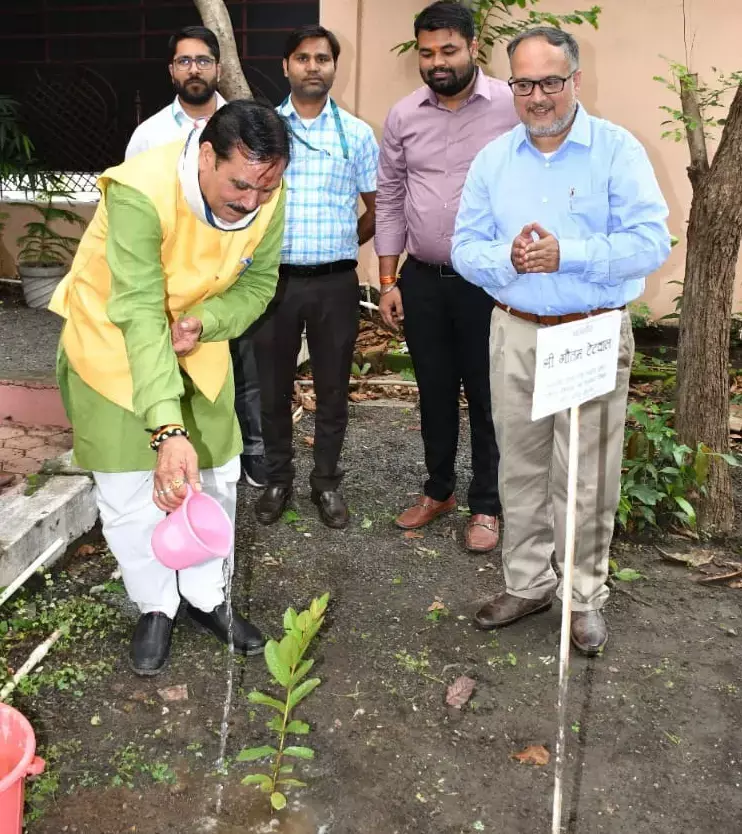 MP News: सीएससी दिवस की पूर्व संध्या पर राज्यमंत्री टेटवाल ने किया राज्य कार्यालय में पौध-रोपण