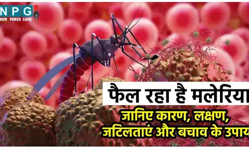 Malaria Causes, Symptoms And Prevention: फैल रहा है मलेरिया, यहां जानिए मलेरिया होने का कारण, लक्षण, जटिलताएं और बचाव के उपाय...