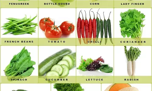 Witch Vegetables is Best in Rainy Season : बरसात में कौन सी सब्जियां अधिक फायदेमंद हैं. आइए जाने