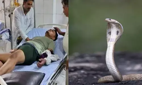 Fatehpur Snake Bite Case:  जिस युवक को सांप ने 7 बार काटा... CMO ने खोल दी उसकी पोल, सामने आई ये कहानी
