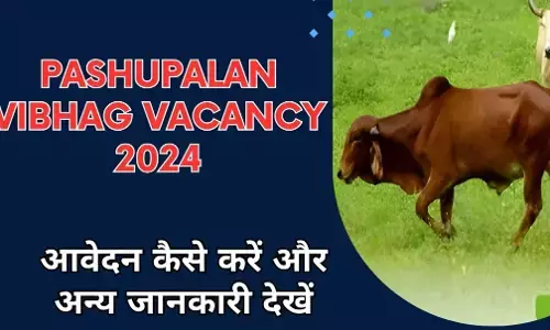 Pashupalan Vibhag Bharti 2024: पशुपालन विभाग भर्ती 2024,  सरकारी नौकरी की तलाश कर रहे युवाओं के लिए सुनहरा अवसर