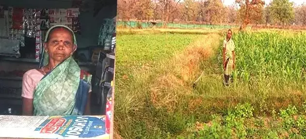 Dantewada News: किराना दुकान से तरक्की की ओर बढ़ रही बालूद की कमला