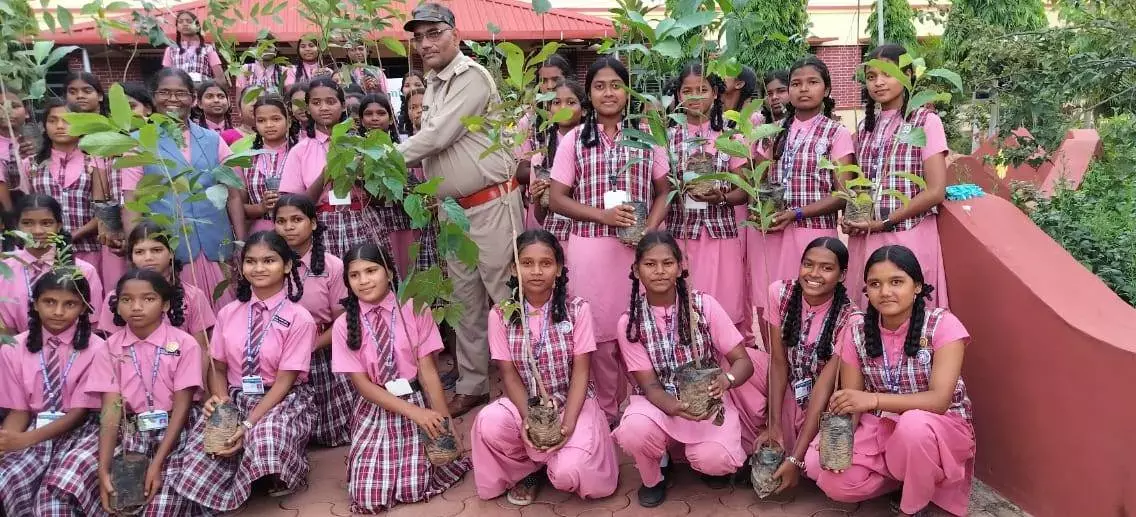 Mahavriksharopan Abhiyan:  वैद्यराजों को औषधि पौधे किया गया वितरित