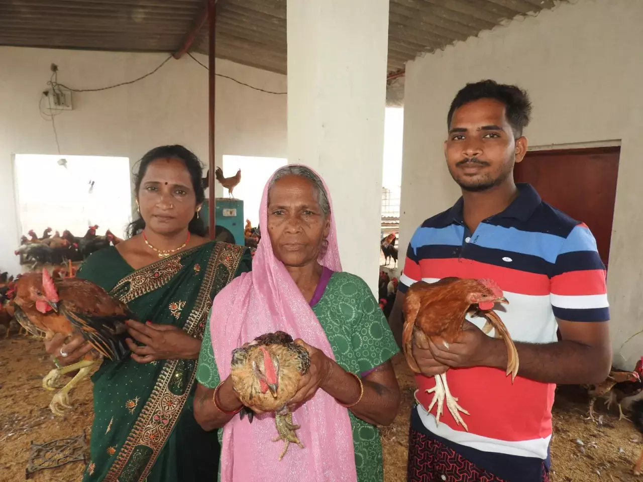 Janjgir-Champa News: श्याम बाई ने मुर्गी पालन को बनाया अपना स्व-रोजगार
