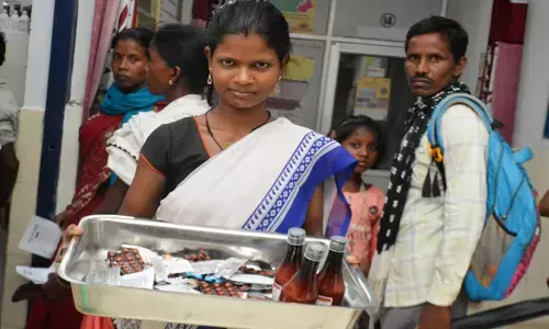 CM विष्णुदेव सरकार की पहल पर पहाड़ी कोरवाओं के जीवन में आया उल्लास, स्वास्थ्य विभाग में मिली नौकरी से कोरवाओं की बदल रही जीवनरेखा