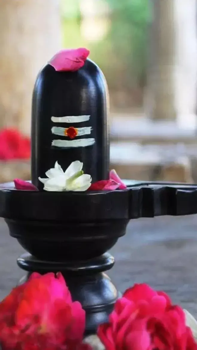 Sawan 2024: भूलकर भी सावन पर न करें ये 6 बड़ी गलतियां, वरना भगवान शिव जी हो जाएंगे...