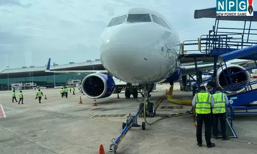 CG News: रायपुर आने वाली फ्लाइट पर मधुमक्खियों का हमला, चेन्नई एयरपोर्ट पर बस से बाहर नहीं निकल पा रहे यात्री