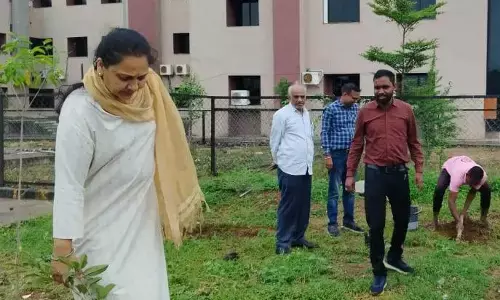 Raipur News:  एक पेड़ माँ के नाम अभियान के तहत राज्य सूचना आयोग में किया गया वृक्षारोपण