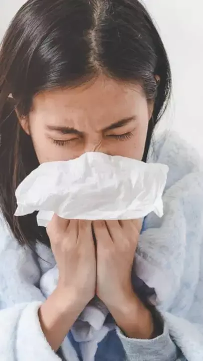 Giloy Ke Fayde: बारिश में कीजिए गिलोय का सेवन, इम्यूनिटी बढ़ेगी, डेंगू-मलेरिया के बुखार से भी मिलेगी राहत...