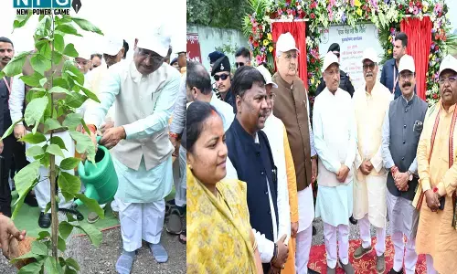 CM विष्णुदेव ने लगाया बेल का पौधा, विधानसभा में विधानसभा अध्यक्ष, नेता प्रतिपक्ष और मंत्रियों ने भी किया वृक्षारोपण