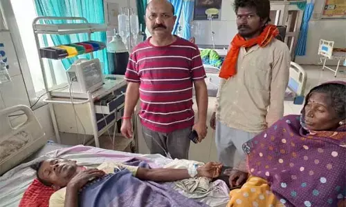 Chhattisgarh News: घर के बाहर सो रहे भाईयों पर हाथी का हमला: एक को पटक कर मार डाला, दूसरा घायल