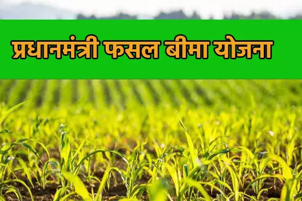 Durg News: प्रधानमंत्री फसल बीमा योजना एवं पुनर्गठित मौसम आधारित फसल बीमा योजना