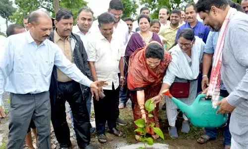 MP News: “एक पेड़ माँ के नाम” अभियान से सभी लोग जुड़े : राज्य मंत्री कृष्णा गौर