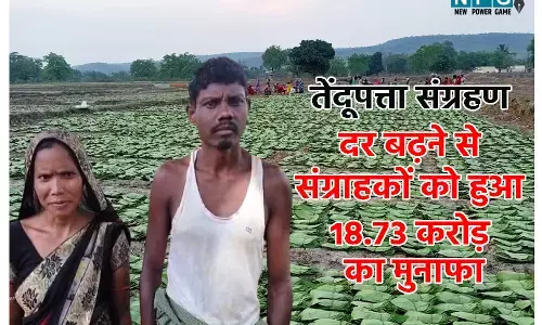 विष्णुदेव सरकार द्वारा तेंदूपत्ता संग्रहण रेट बढ़ाने से सिर्फ रायगढ़ जिले के संग्राहकों को हुआ 18.73 करोड़ का मुनाफा