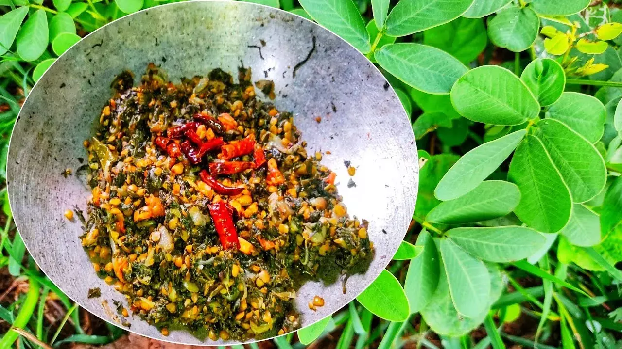 Charota Bhaji : मानसून में छत्तीसगढ़ में चरोटा भाजी की महक, Read Recipe and Benifits