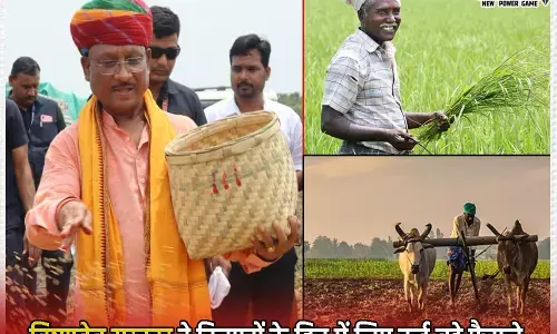 विष्णुदेव सरकार की सुध से सुधरी खेती-किसानी, 7 महीने में राज्य के किसानों के हित में लिए कई बड़े फैसले