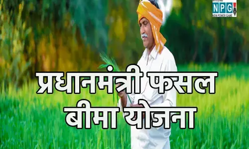 Dantewada News: प्रधानमंत्री फसल बीमा कराने की अंतिम तिथि आज