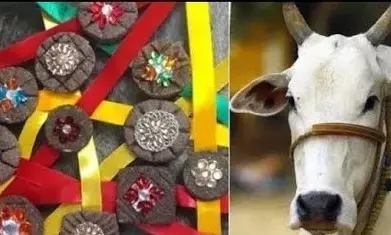 Raksha Bandhan 2024 : यहाँ बहने भाई को राखी बांधने से पहले गोवंश को बांधती हैं नेह का धागा
