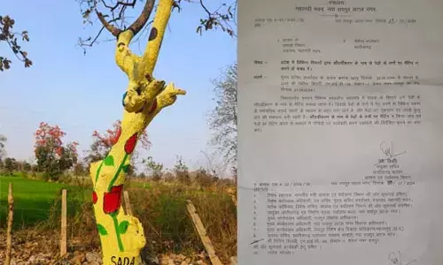Chhattisgarh News: पेड़ों को रंगीन बनाया तो खैर नहीं: सौंदर्यीकरण के नाम पर पेड़ों की रंगाई करने वाले विभागों को सरकार की चेतावनी