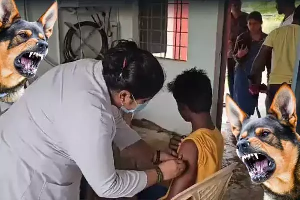 Kanker News: गायों की मौत से दहशत में पूरा गांव, लगवा रहा रेबीज का इंजेक्‍शन, जानिये क्‍या है मामला