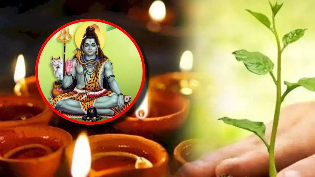 Hariyali Amavasya 2024 : धर्म, संस्कृति और प्रकृति का त्यौहार हरियाली अमावस्या कल, आइए जानें इस दिन क्या करें क्या न करें, शुभ मुहूर्त-पूजा विधि