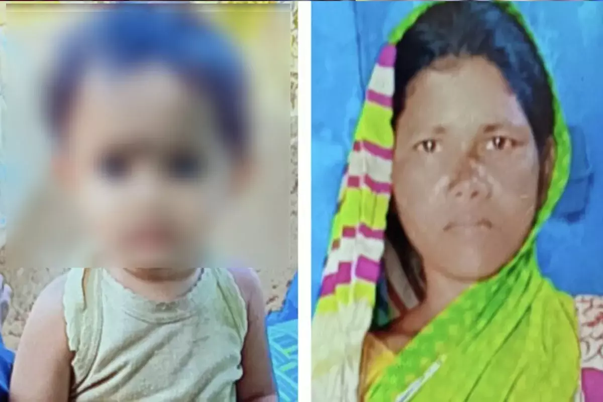 Korba News: मां-बेटे की सांप के काटने से मौत, गोद में डेढ़ साल के बच्चे को लेकर सो रही थी मां, सांप ने डंसा...