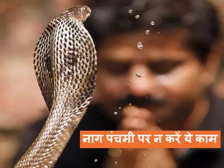 Nag Panchami 2024 : नाग न दूध पीता है, न करता है बीन की धुन पर डांस,  ना लेता है बदला...सब फ़िल्मों के दिखावे, जानिये क्या कहते हैं सर्प विशेषज्ञ