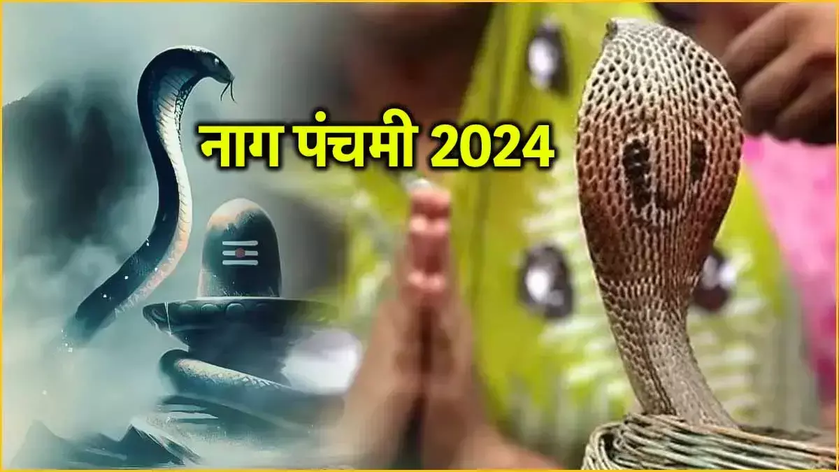 Nag Panchami 2024 : कुंडली में अगर कालसर्प दोष या फिर राहु-केतु से संबंधित कोई दोष हो तो ज़रूर करें नाग देवता की पूजा... जानिए पूजा-विधि, मुहूर्त और महत्त्व