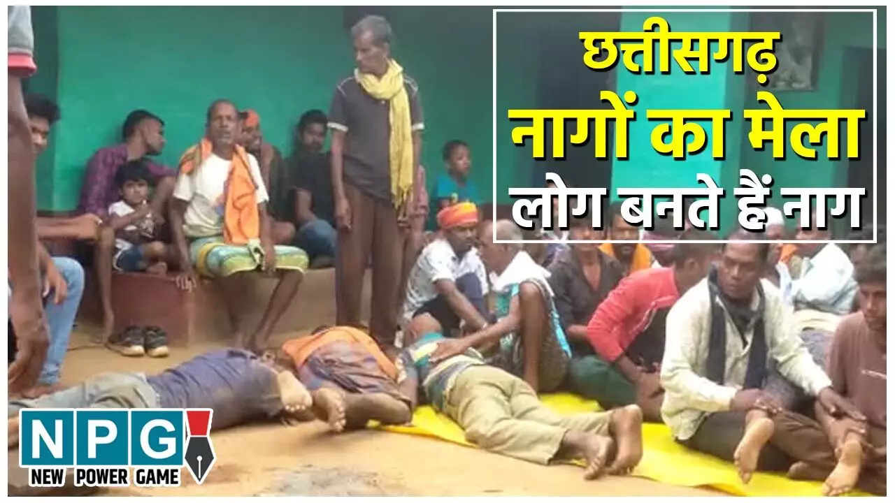 नाग पंचमी : छत्तीसगढ़ में लगता है नागों का मेला, इंसान सांप और नाग की तरह जमीन पर लेटकर पीते हैं दूध नाग पंचमी : छत्तीसगढ़ में लगता है नागों का मेला, इंसान सांप और नाग की तरह जमीन पर लेटकर पीते हैं दूध