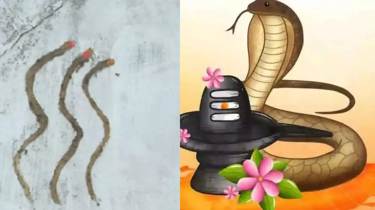 Nag Panchami 2024 : घर में है नाग आने का डर... तो गोबर से नाग की आकृति बनाकर करें पूजा... जानिए नाग है प्राणघातक फिर भी क्यों पूजे जाते हैं