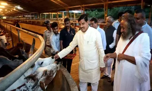 MP News: मुख्यमंत्री डॉ. मोहन यादव ने आध्यात्मिक और योग गुरु रविशंकर से लिया आशीर्वाद