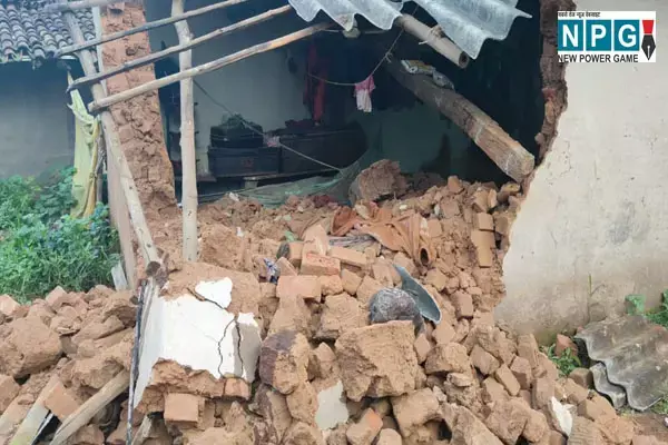 Elephant Attack: जशपुर में गजराज का आतंक, 4 को उतारा मौत के घाट, एक ही परिवार के तीन लोग