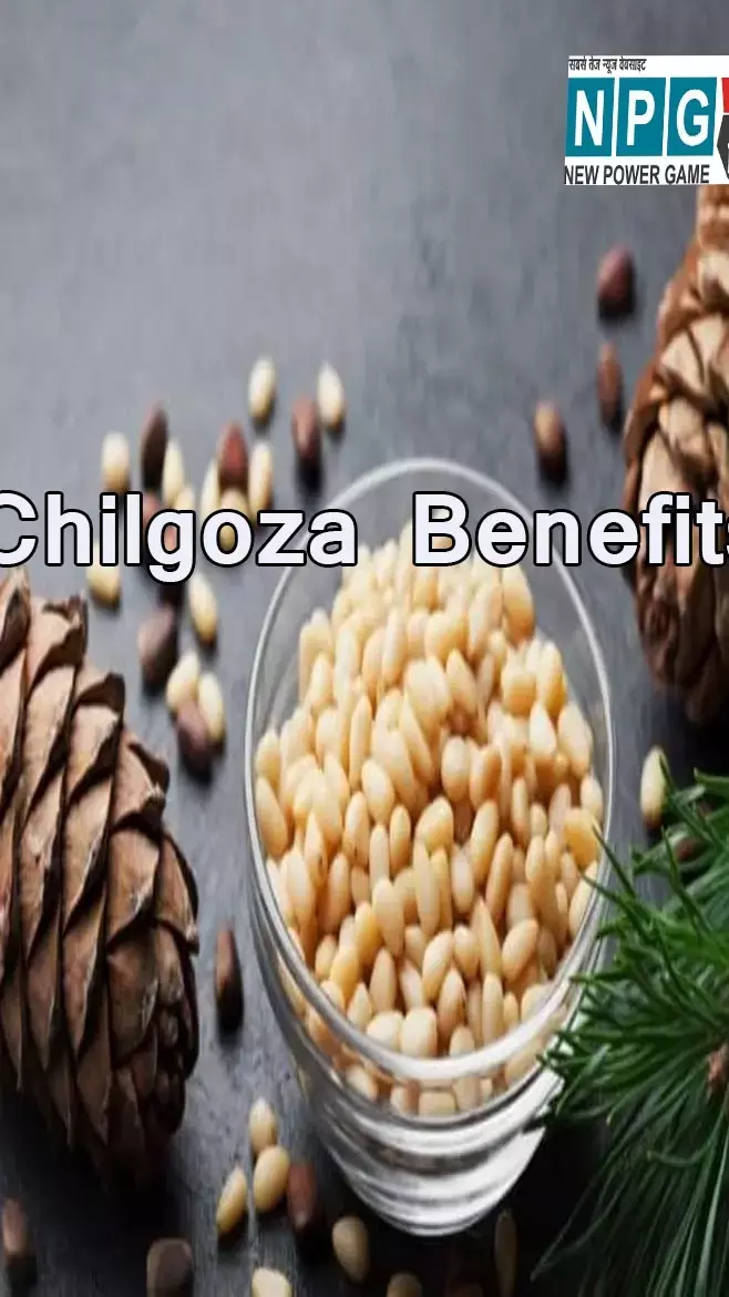 Chilgoza Benefits: छोटा सा चिलगोज़ा काजू-बादाम पर है भारी,जान लीजिए इसमें आपके लिए हैं कौन-कौन से गुण