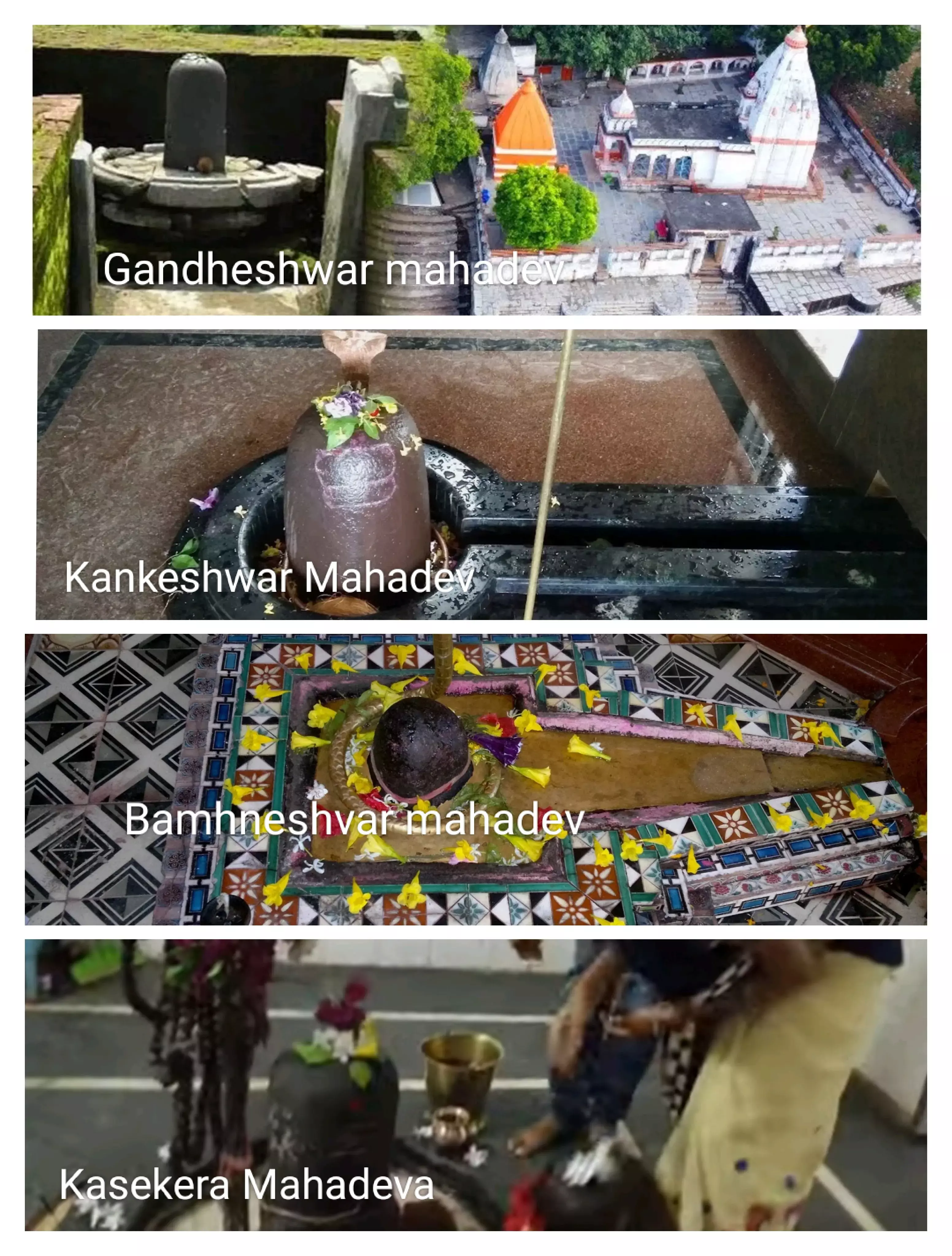 Swayambhu Shivling in Mahasamund : महासमुंद जिले को शिव का खास आशीर्वाद... चारों छोर पर स्थित है स्वयंभू शिवलिंग, सबकी महिमा अपार