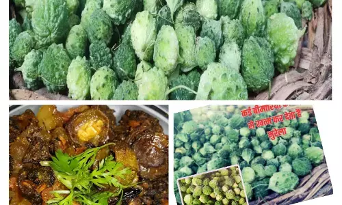 Chattisgarhi Barmasi Karela : मुंह मांगी कीमत में बिकती है स्वादिष्ट छत्तीसगढ़ी बरमसी करेला... आइए जानें इसके लाभ और रेसिपी