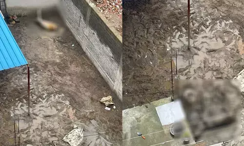 Raipur News: दो घोड़े को भूखा रखा, हो गई मौत, पुलिस ने किया FIR दर्ज...