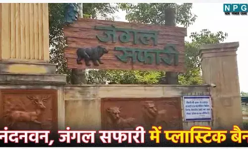 CG News: नंदनवन, जंगल सफारी में प्लास्टिक बैन, इन उत्पादों पर भी लगा प्रतिबंधित...