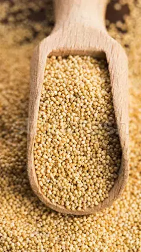 Bone Health After Menopause: मीनोपाॅज के बाद हड्डियां हो गईं हैं कमज़ोर? ये घरेलू उपाय लौटाएंगे महिलाओं की हड्डियों की मजबूती...