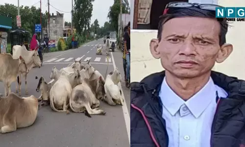 CG: व्याख्याता की मौत, रक्षाबंधन मनाकर लौट रहे थे घर, सड़क पर बैठे मावेशियों से बाइक टकराई...