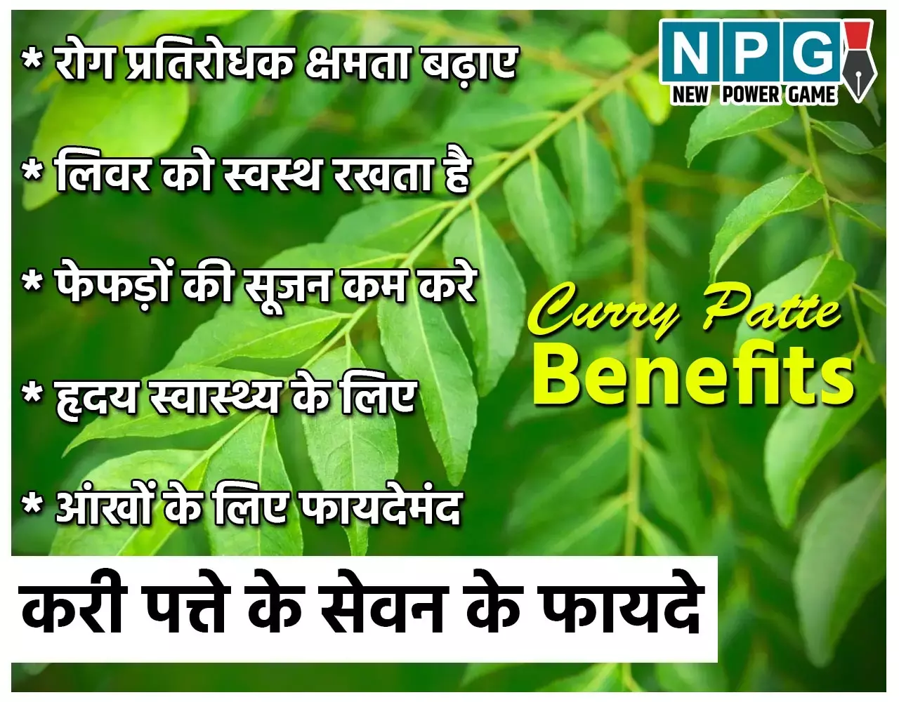 Khali Pet Curry Patte Khane Ke Fayde: सुबह बासी मुंह करी पत्ते चबाने से मिलेंगे इतने सारे फायदे कि जान कर हो जाएंगे हैरान, हार्ट से लेकर लिवर तक को रखे स्वस्थ...