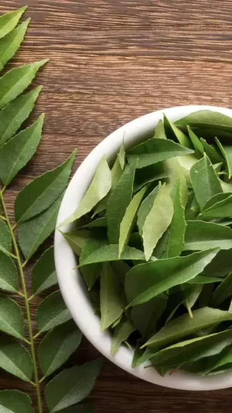 Curry Patte Ke Fayde: सुबह बासी मुंह करी पत्ते चबाने से मिलेंगे ढेर सारे फायदे, जानिए यहां...