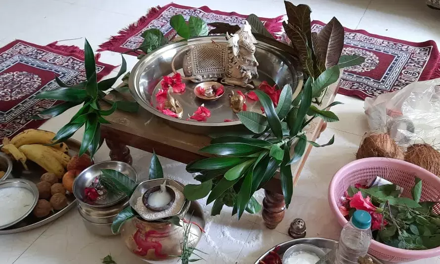 Bahula Chauth Pooja 2024 in Raipur : छत्तीसगढ़ की महतारियों ने की अपने संतानों के लिए सुख-शांति-उन्नति के लिए बहुला माता की पूजा