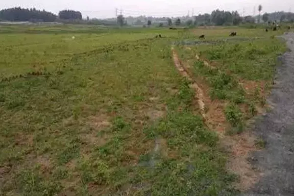 CG News: जशपुर के आदिवासी की जमीन बेल्जियम नागरिक के नाम, कलेक्टर ने दिया ये आदेश