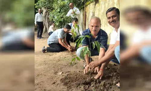 Bilaspur News: एसईसीआर टीटीई संघ ने किया पौधरोपण...