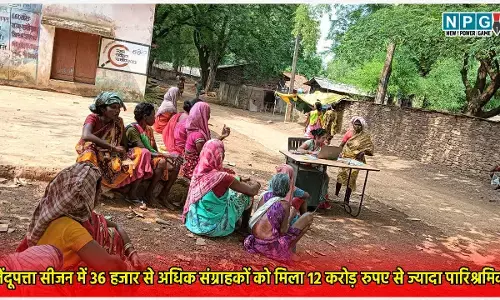 बैंक मित्र और बैंक सखियों से छत्तीसगढ़ में संवर रहा आदिवासियों का जीवन, 36 हजार से अधिक तेंदूपत्ता संग्राहकों को 12 करोड़ रुपए से ज्यादा पारिश्रमिक भुगतान
